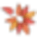 Alzstore